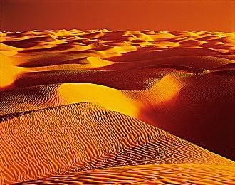 SnailgameUSA发行商特卖活动开启，《方块方舟》史低29元