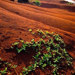 《暗黑破坏神4》总监和主管被暴雪解雇 开发或受影响