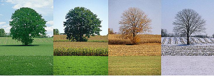 《死或生：女神璀璨假期》穿搭介绍 轻松解锁泳装